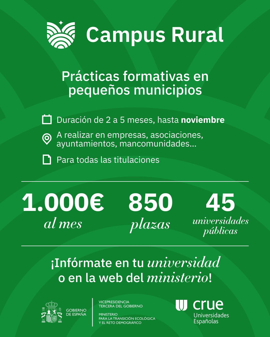 Cartel campus rural que indica las cuantías y becas