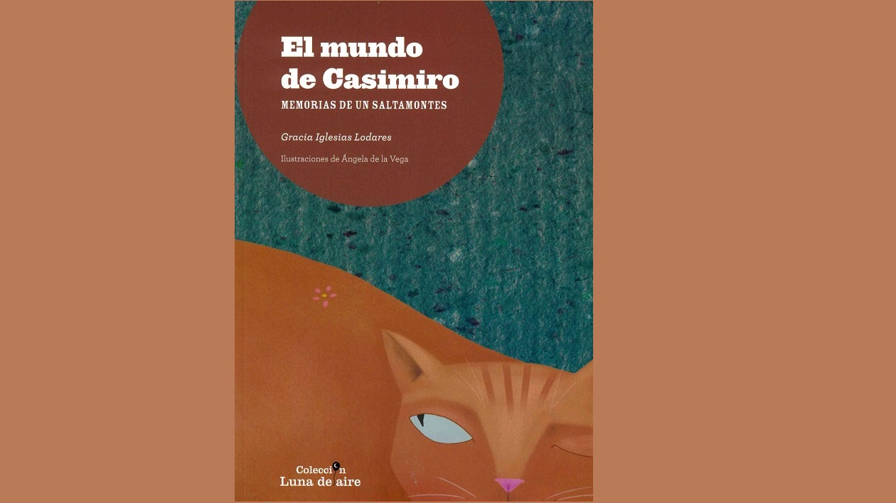 El mundo de Casimiro