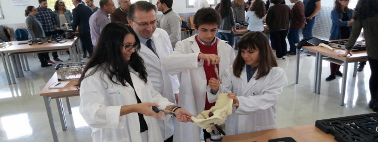 Grupos de investigación