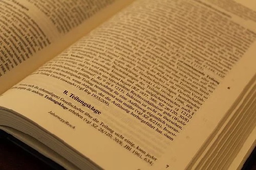constitucional