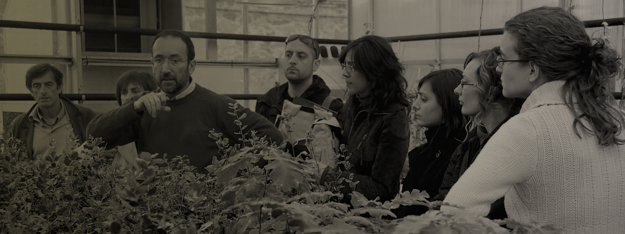 Ciencias ambientales