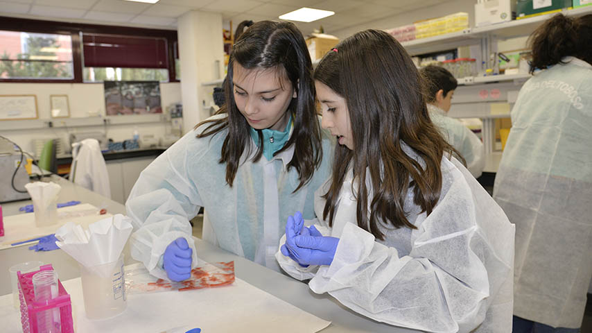 La UCLM celebra en el Campus de Ciudad Real 'Aventura con Científicas', con motivo del 11F.
