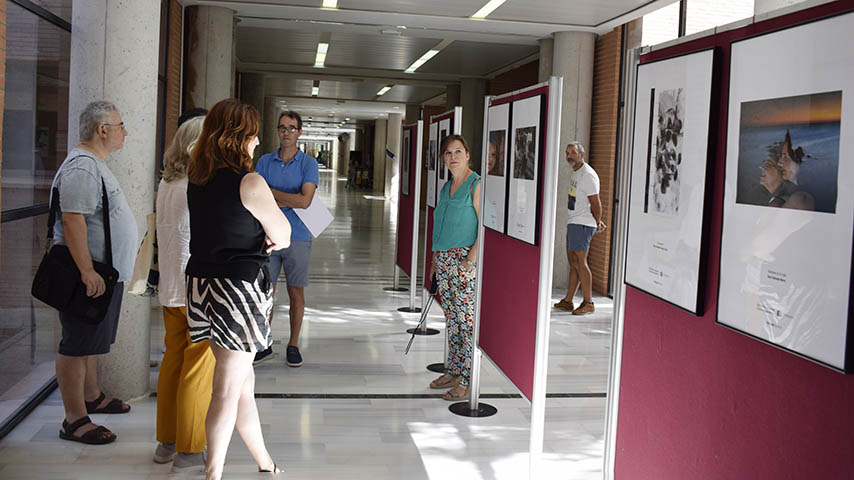 Exposición Concursos Culturales XIII