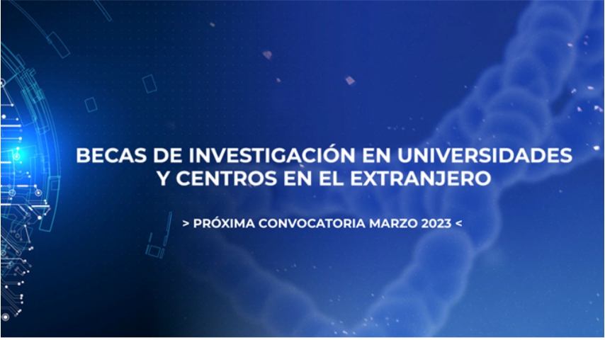 Becas de Investigación en universidades 