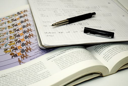 Bolígrafo sobre libreta y libro.