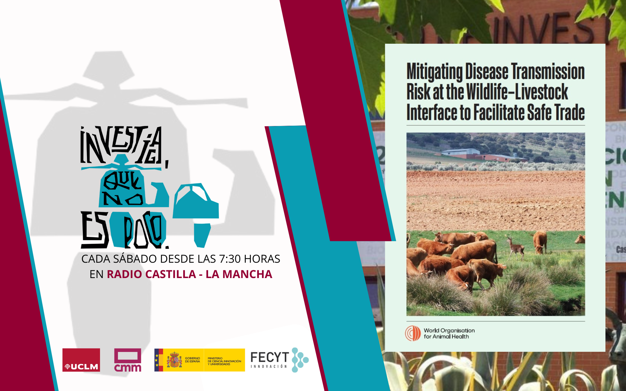 Guía para mitigar los riesgos de transmi